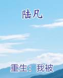 陆凡