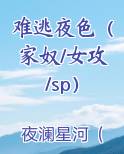 难逃夜色（家奴/女攻/sp）