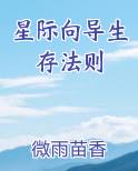 星际 向导