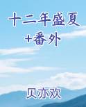 十二年的春夏秋冬免费阅读