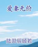 爱妻无价