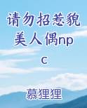 请勿招惹貌美人偶npc