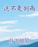 这不是剑雨