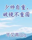 少帅自重,破镜不重圆小说