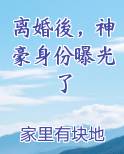 离婚後，神豪身份曝光了