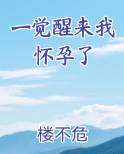 一觉醒来我怀孕了