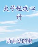太子妃攻心计