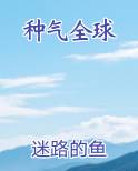 种气全球