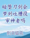 暗堕刀剑会梦到吐槽役审神者吗