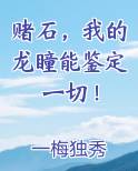赌石，我的龙瞳能鉴定一切！