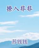 撩入非非