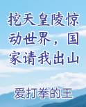 挖天皇陵惊动世界，国家请我出山