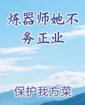 炼器师她不务正业