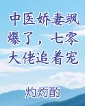 中医娇妻飒爆了，七零大佬追着宠