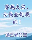 穿越大宋，女侠全是我的！