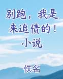 别跑，我是来追债的！小说