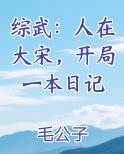 综武：人在大宋，开局一本日记