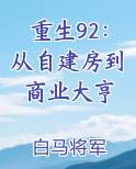 重生92：从自建房到商业大亨