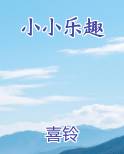 小小乐趣