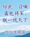 综武：召唤雷电将军，朕一统天下