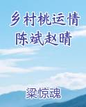 乡村桃运情陈斌赵晴
